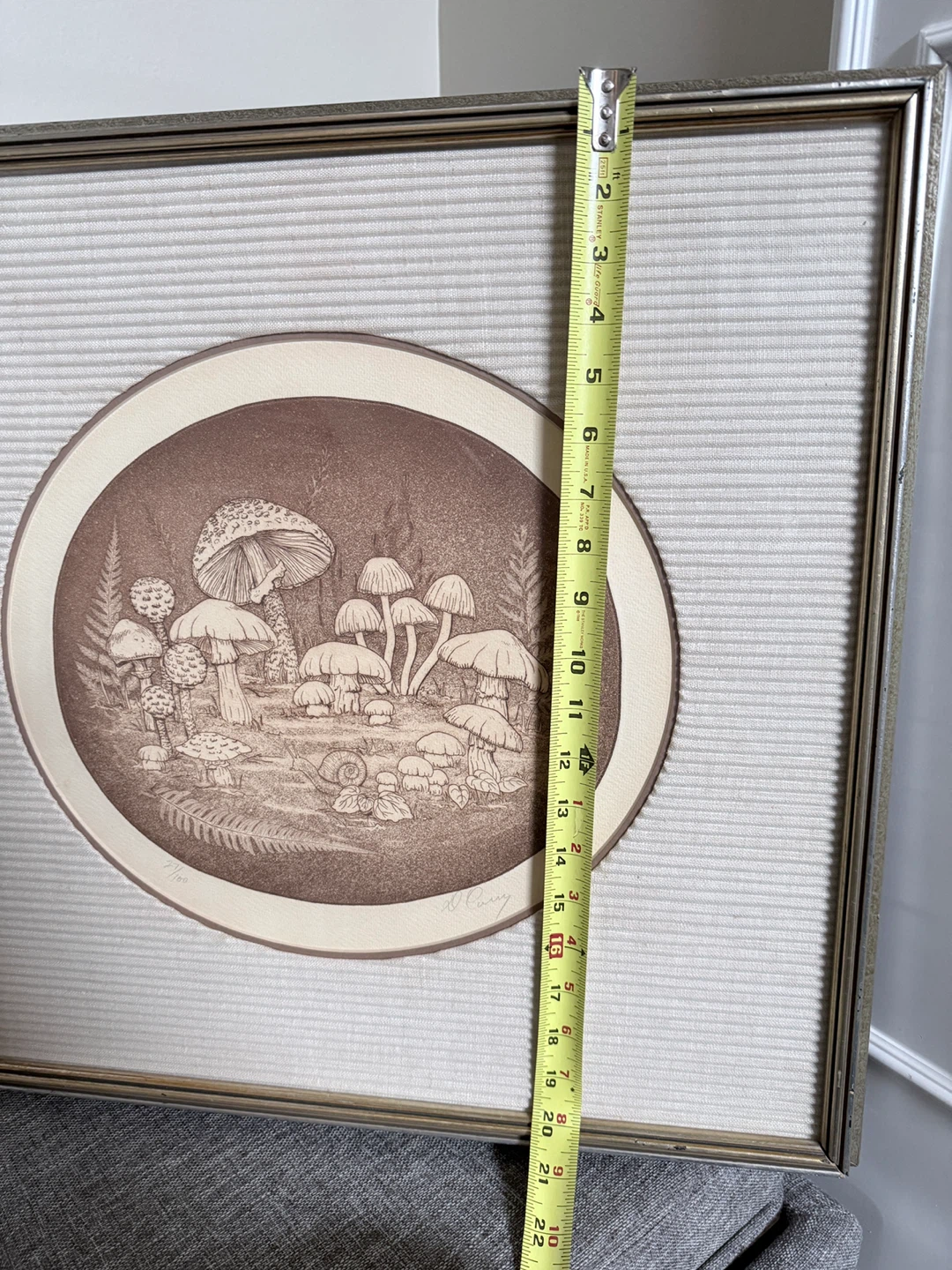 Framed Mushroom Print by D. Curry - photo 5