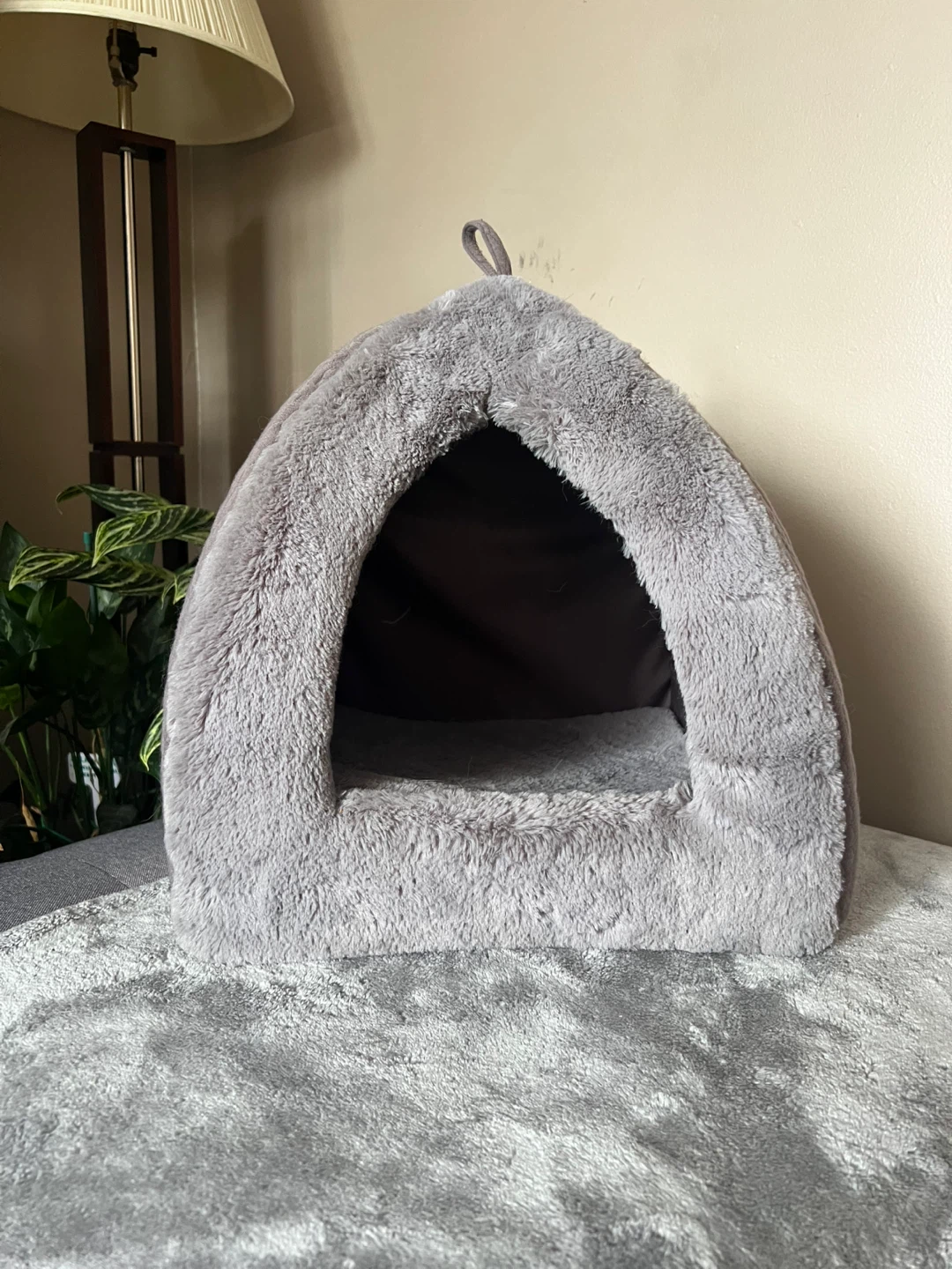 Small Pet Bed - photo 2
