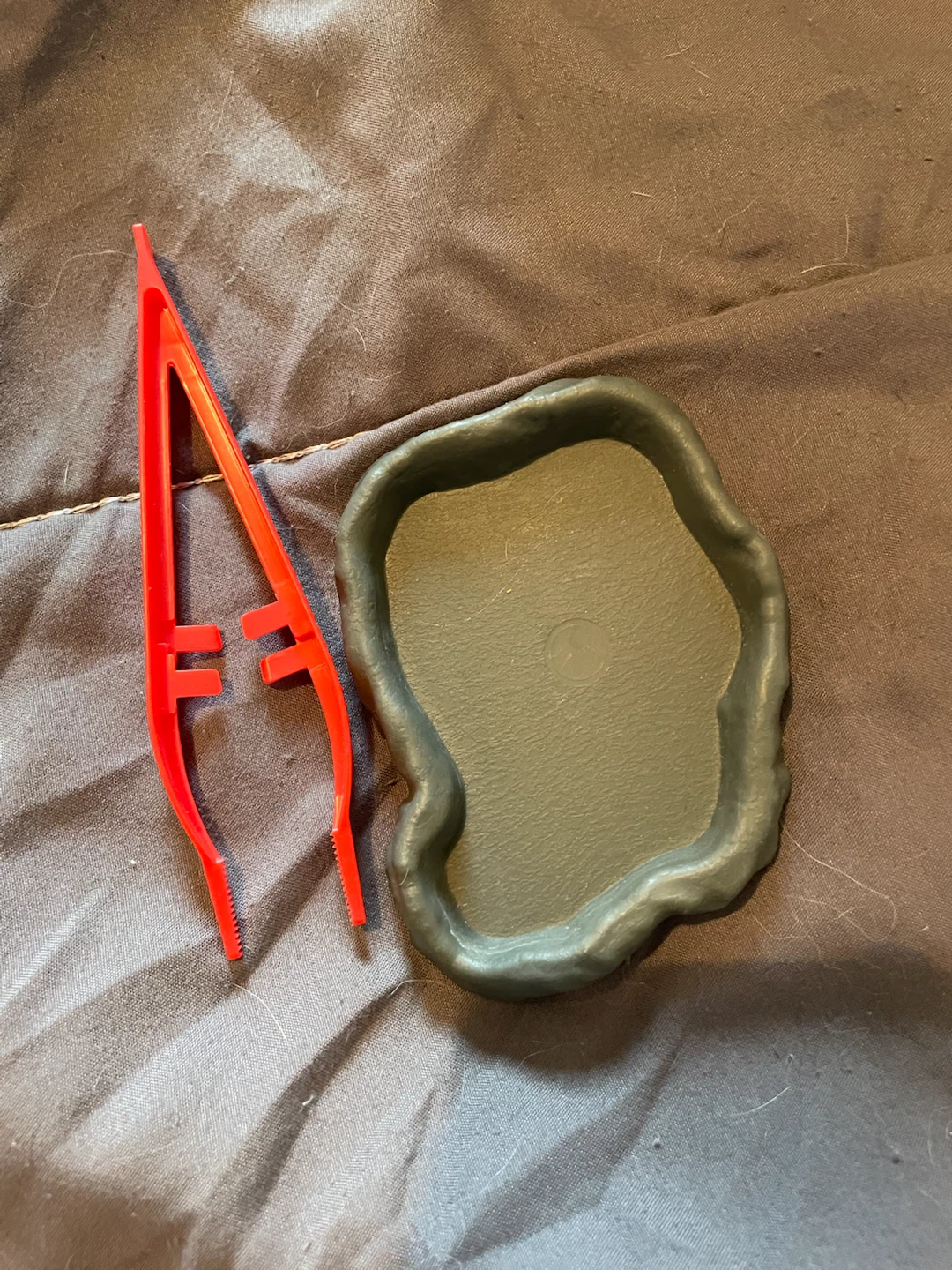 Small Reptile Accessories