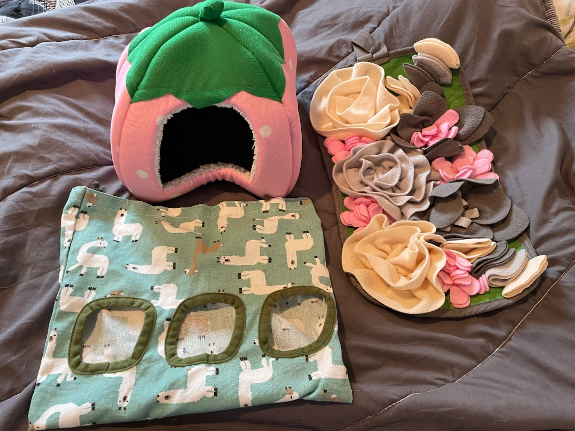 Guinea Pig Accessories Lot