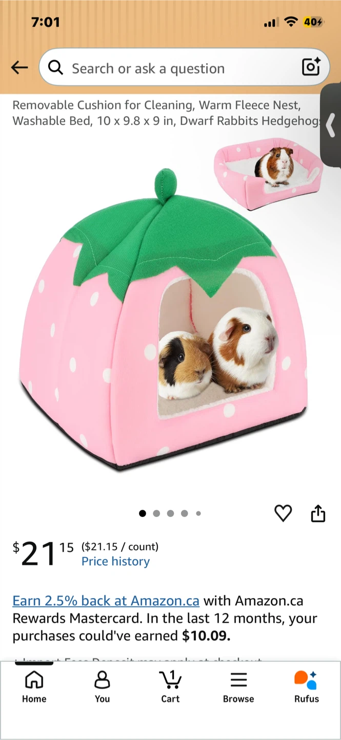 Guinea Pig Accessories Lot - photo 2