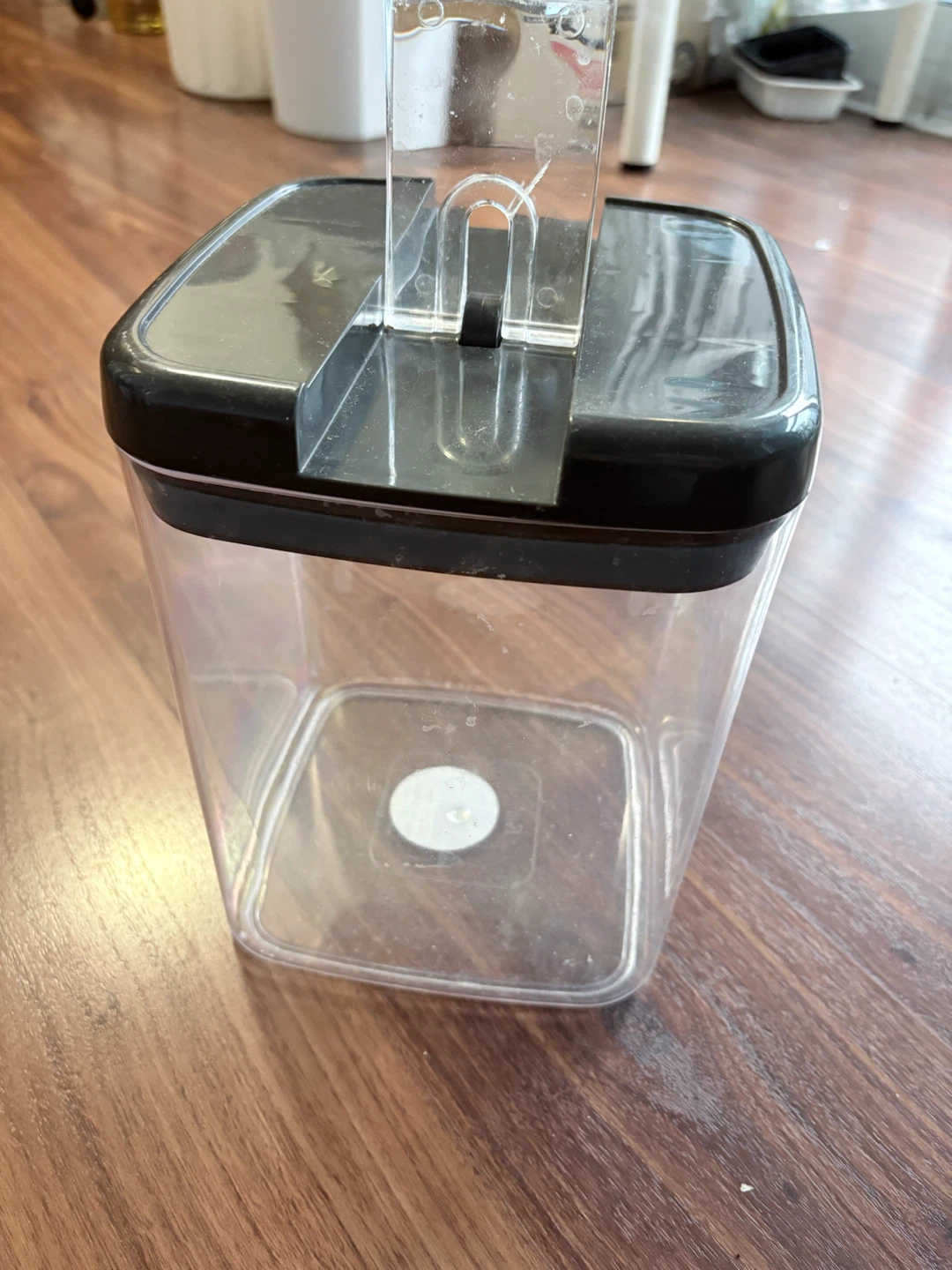 Clear food storage container with dark lid