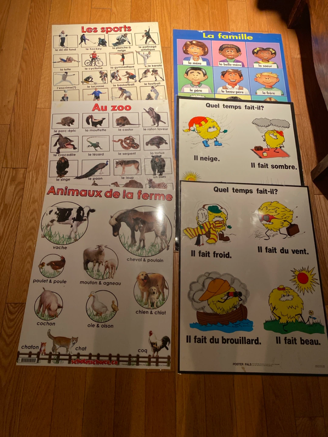 French Educational Posters