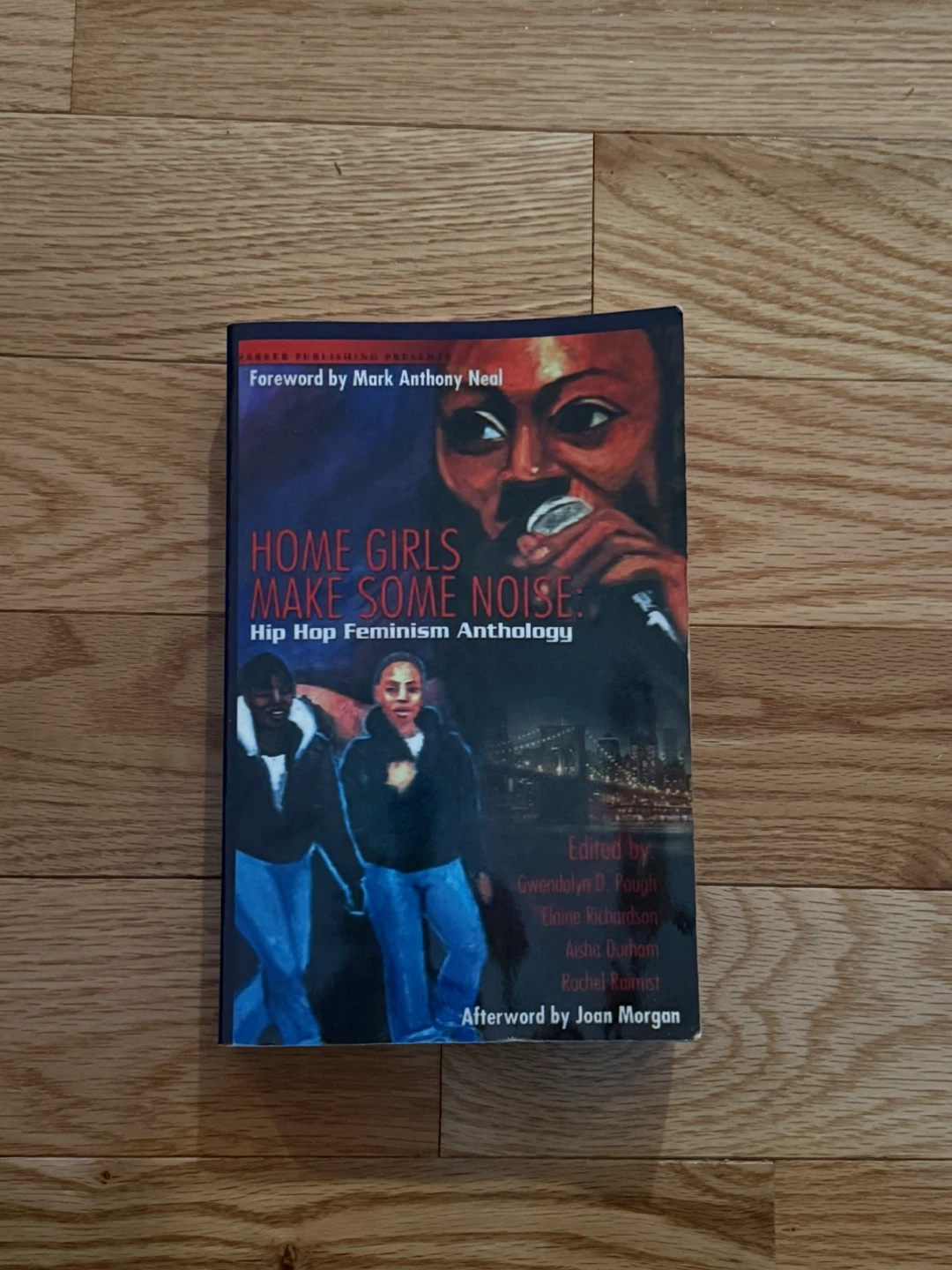 Home Girls Make Some Noise Hip Hop Feminism Anthology