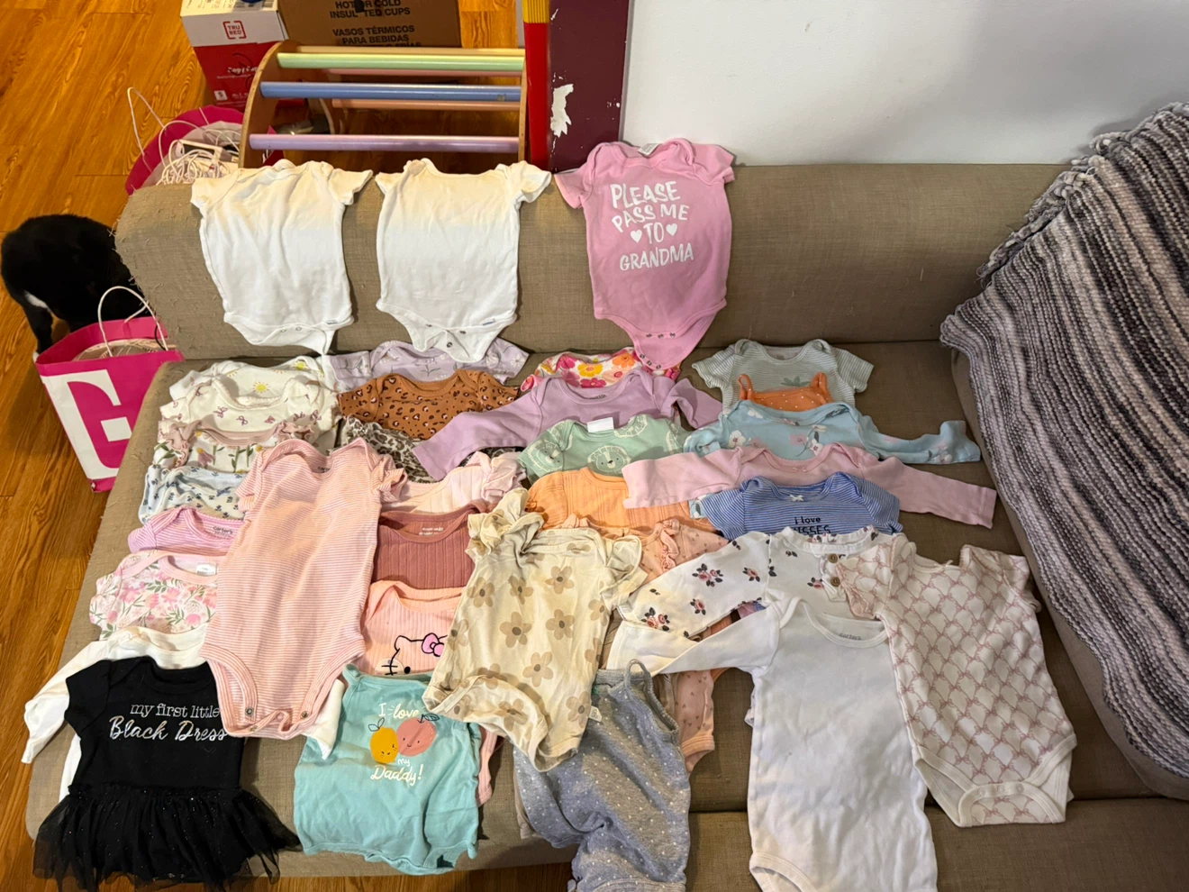 Baby Girl Onesies and Pants Lot - photo 2
