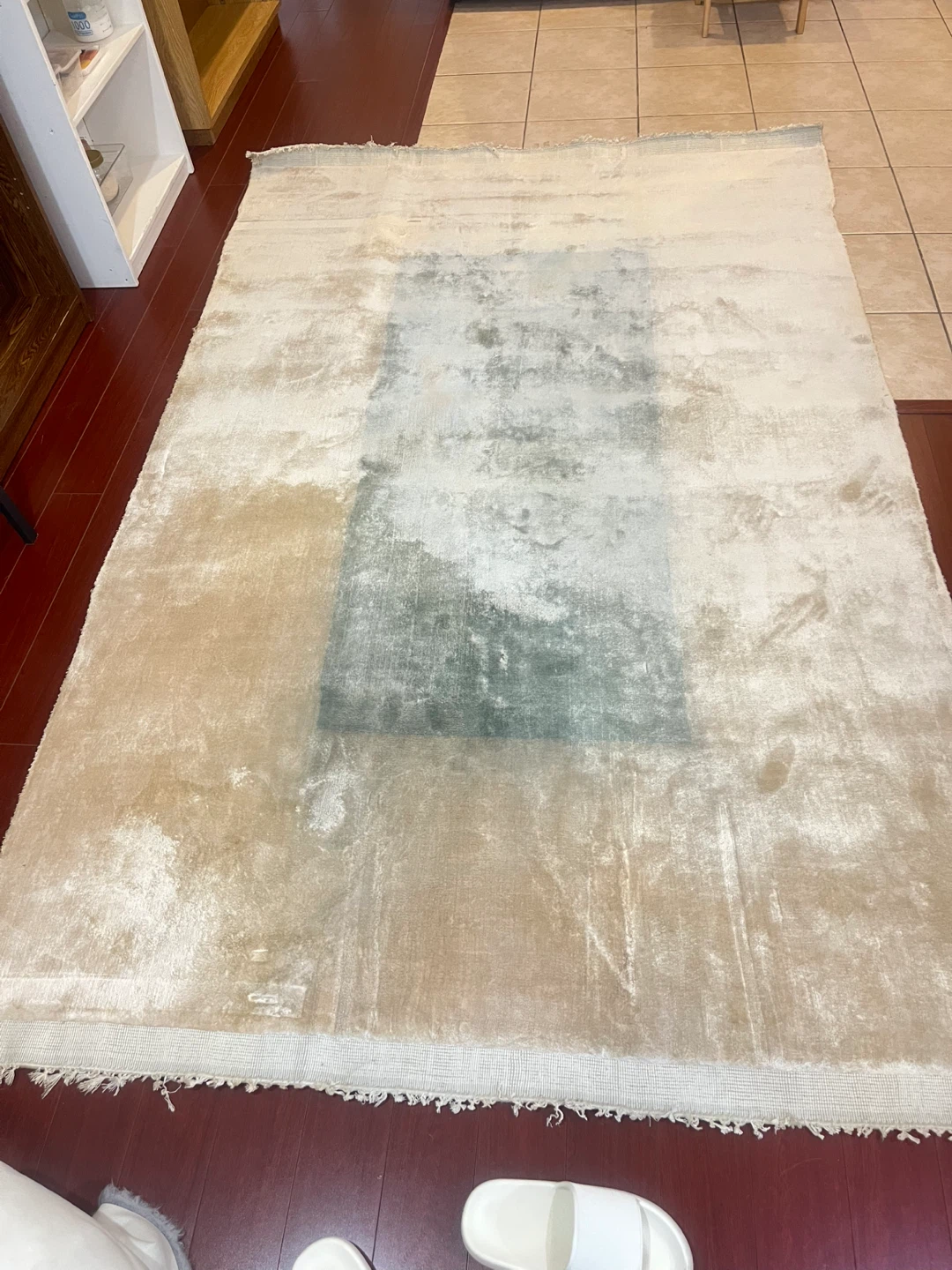 Area Rug - photo 2