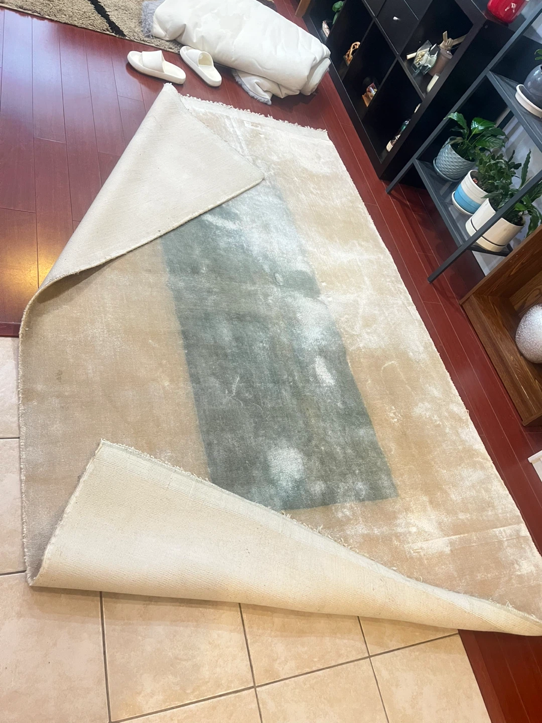 Area Rug - photo 4