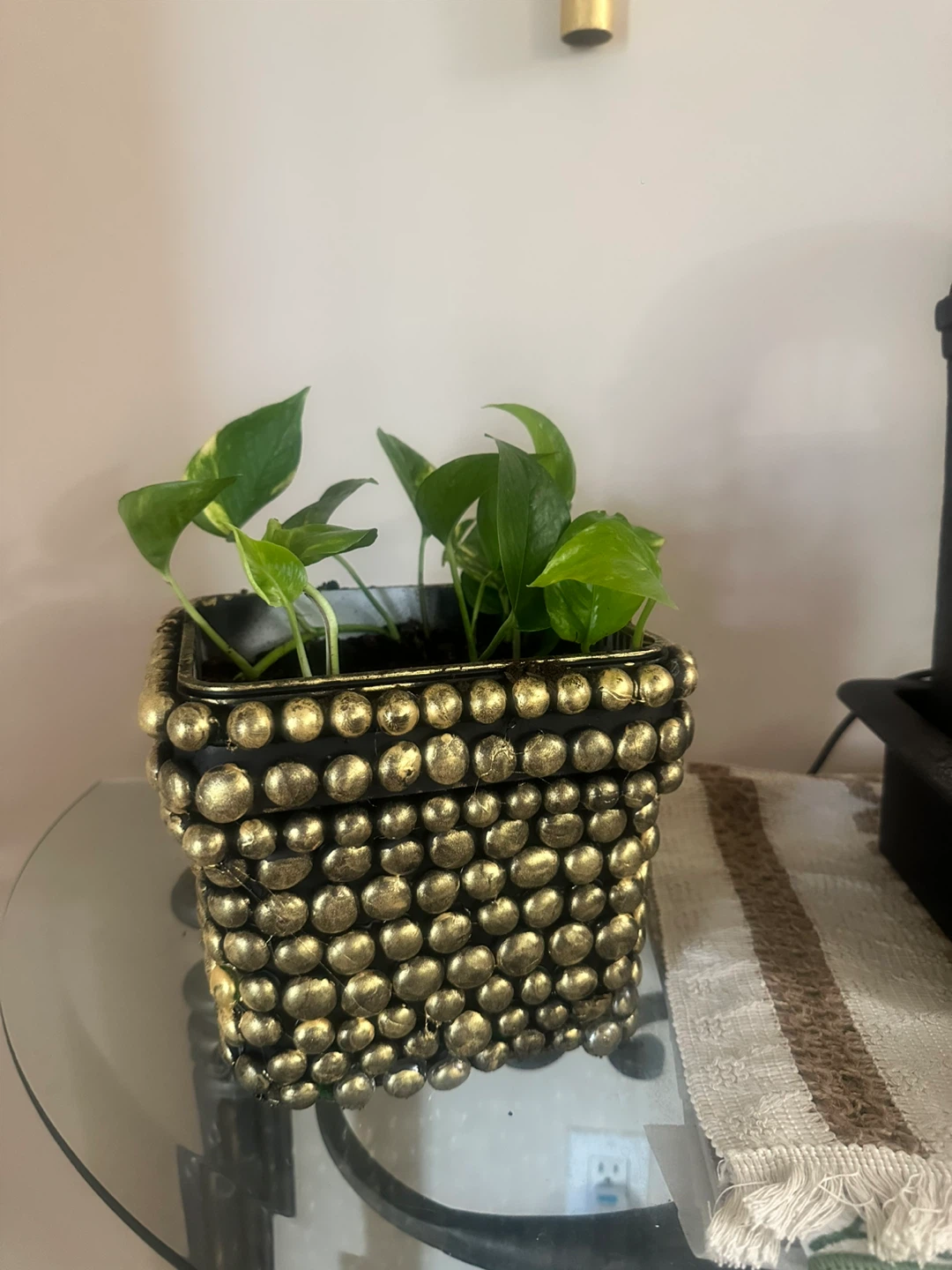 Decorative Square Planter Pot with Gold Studs