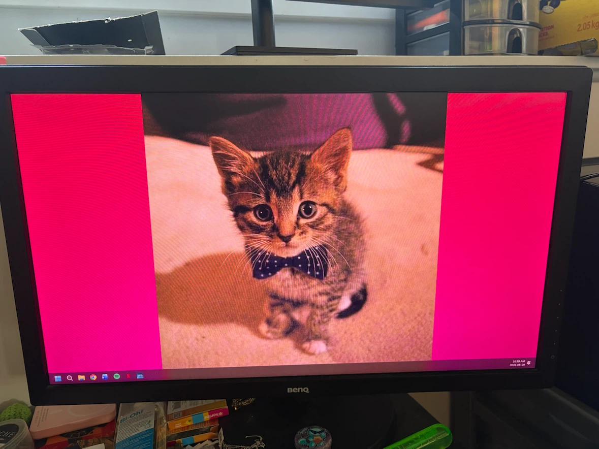 Benq 24” Adjustable Monitor - photo 2