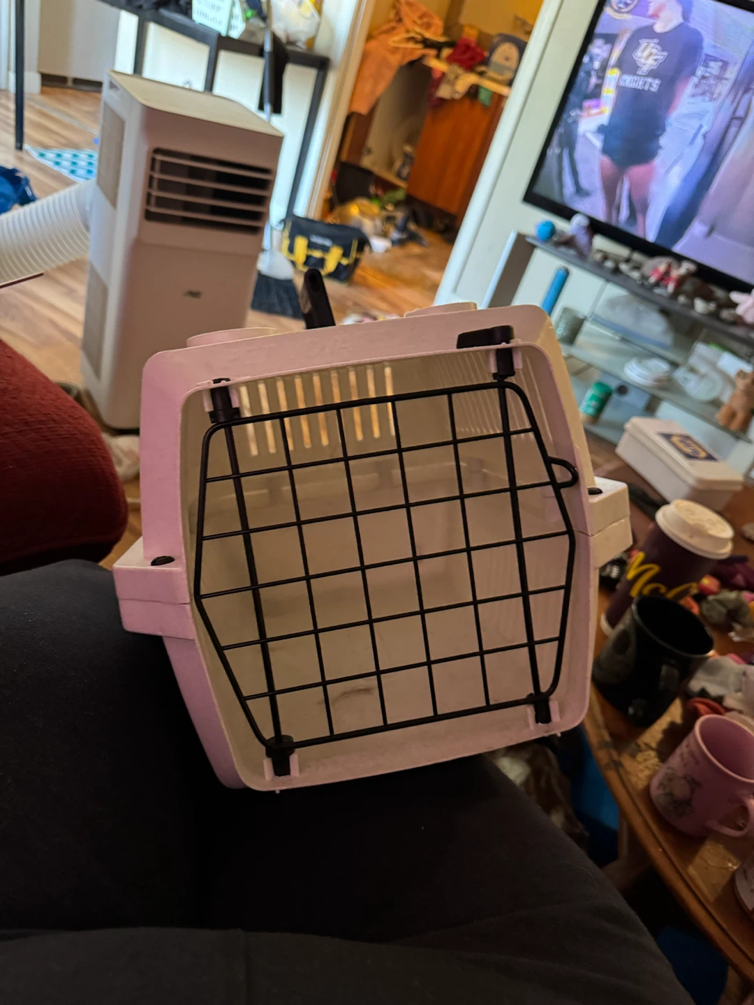 Pet Carrier - photo 3