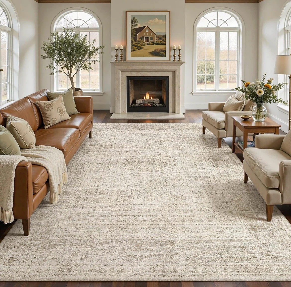 10' x 14' Area Rug - Beige Brown