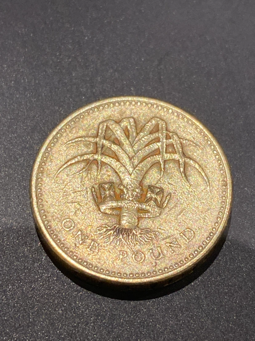 1985 One Pound Coin - Queen Elizabeth II