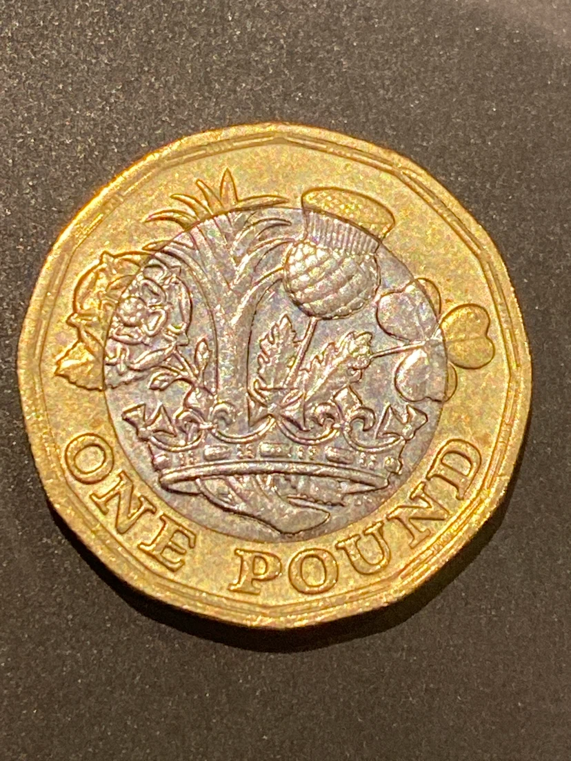 2016 One Pound Coin