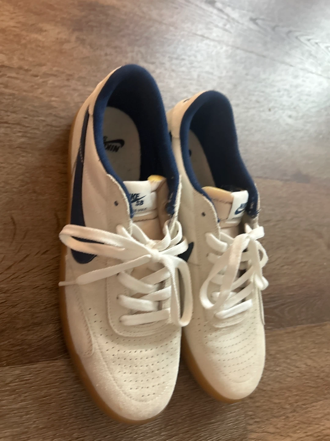 Nike SB Shoes