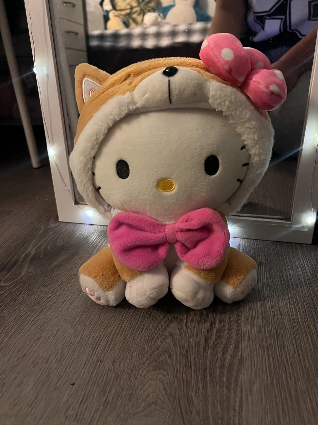 Pochaco and hello kitty  (14 alone)