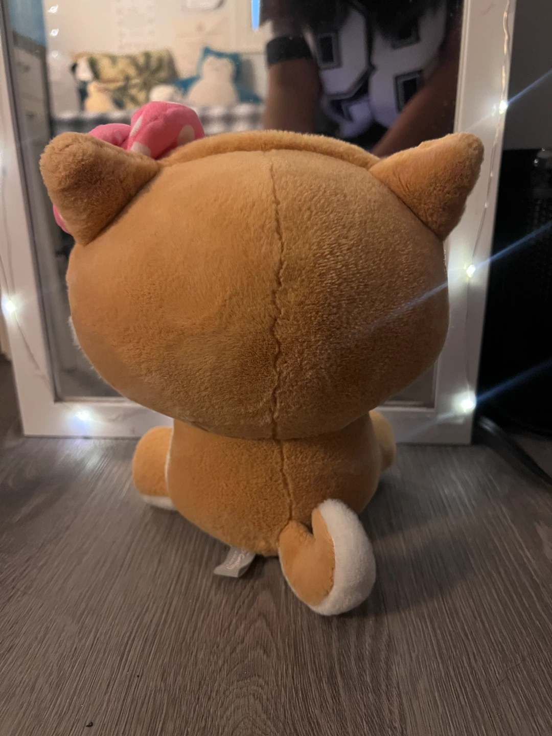 Pochaco and hello kitty  (14 alone) - photo 3