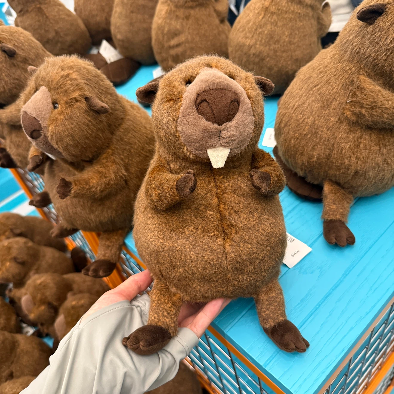 Jellycat Briggs Beaver Plush - photo 2