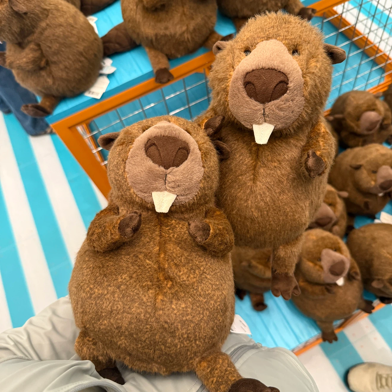 Jellycat Briggs Beaver Plush - photo 3