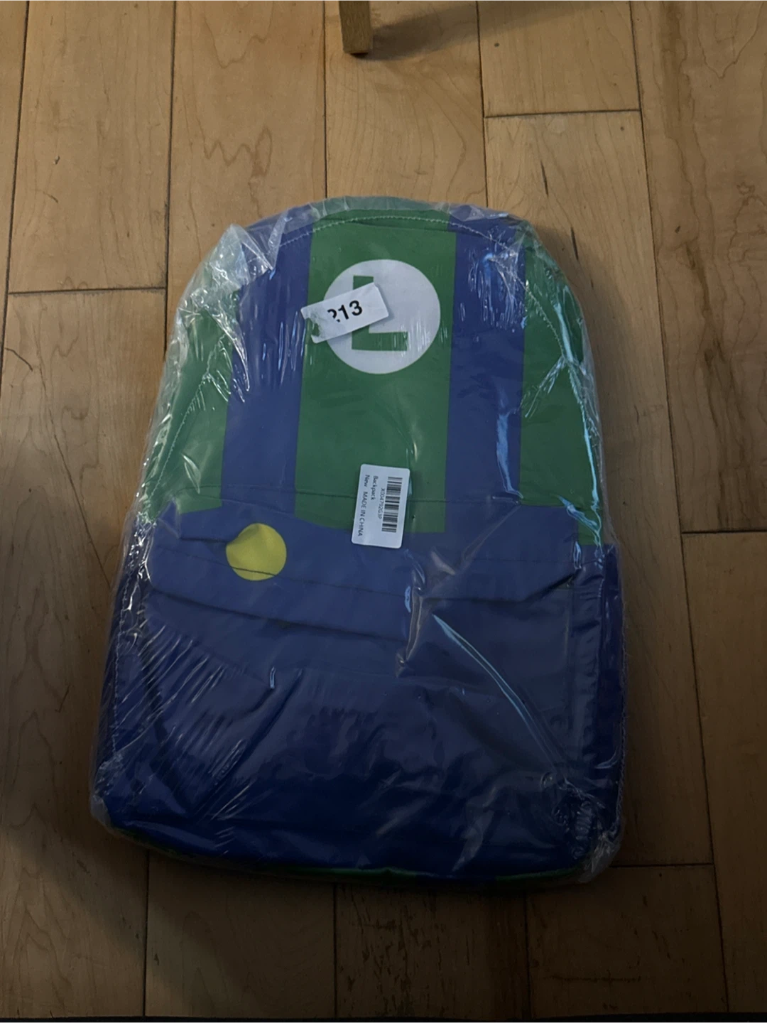 Luigi Backpack