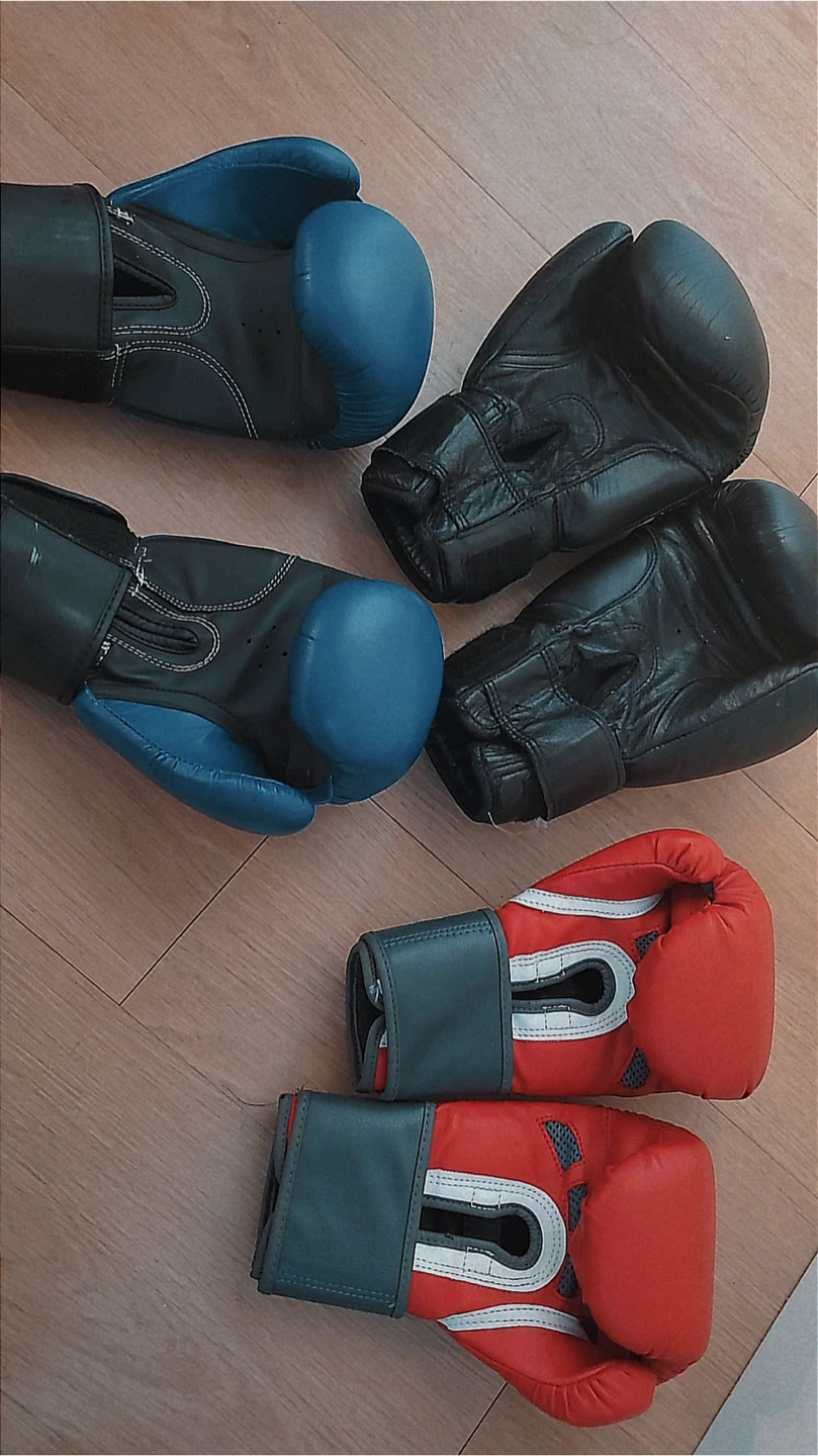 Green Hill, Century, and Blue Boxing Gloves