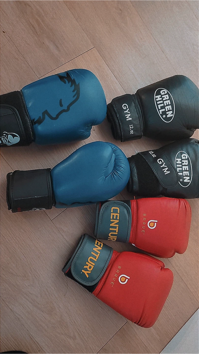 Green Hill, Century, and Blue Boxing Gloves - photo 3
