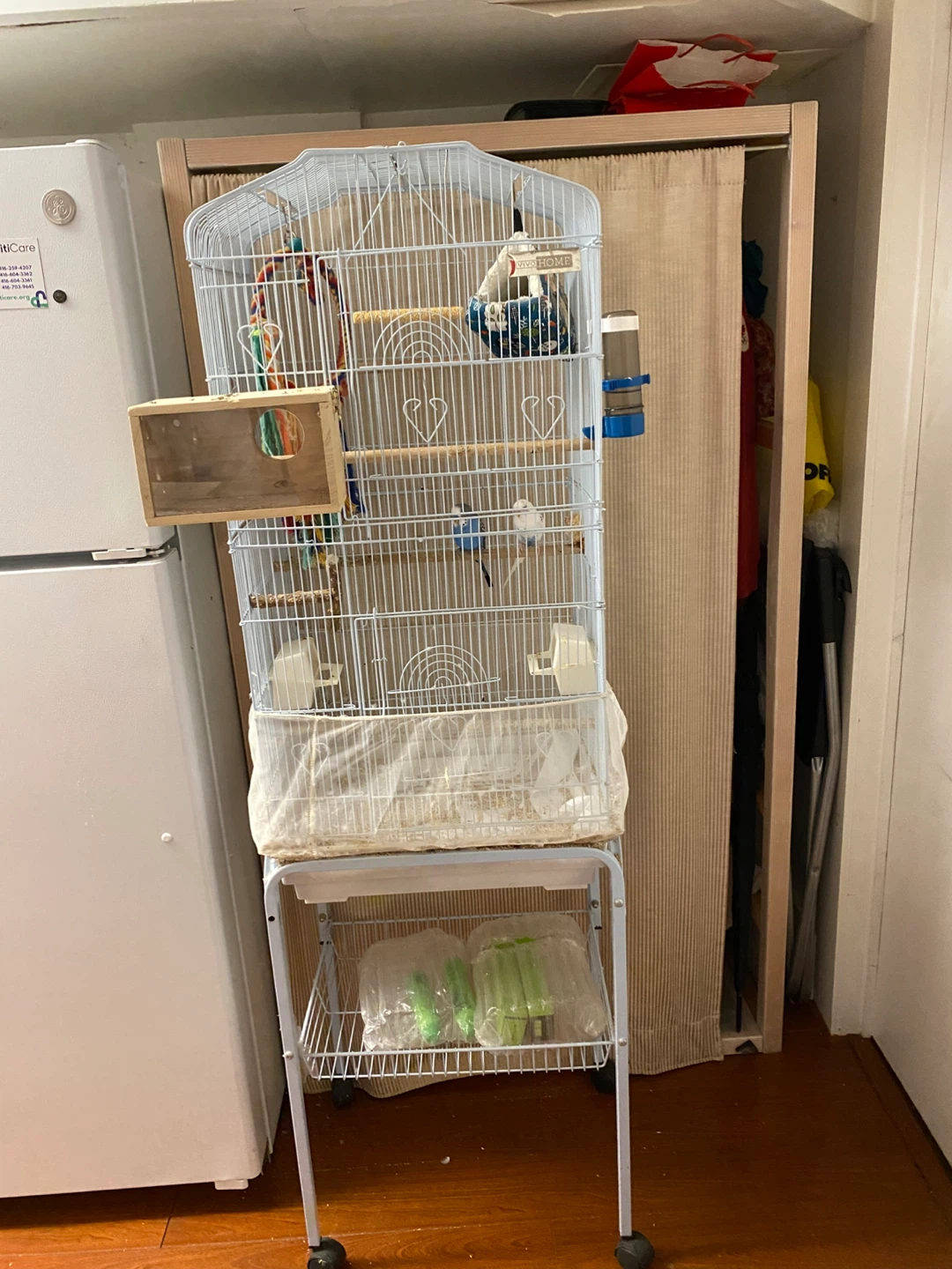 Bird Cage with Stand and Accessories