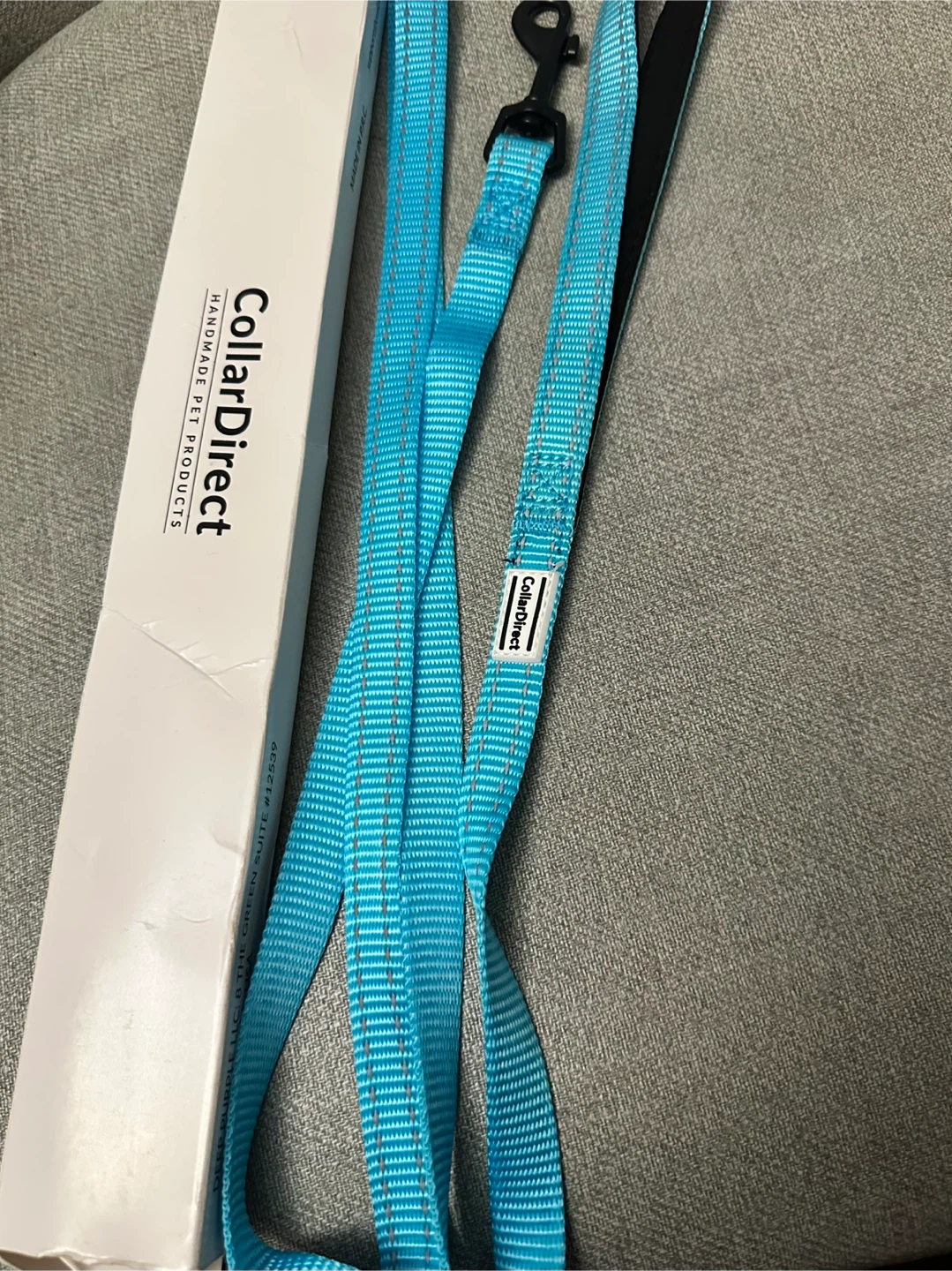 CollarDirect Light Blue Dog Leash Small