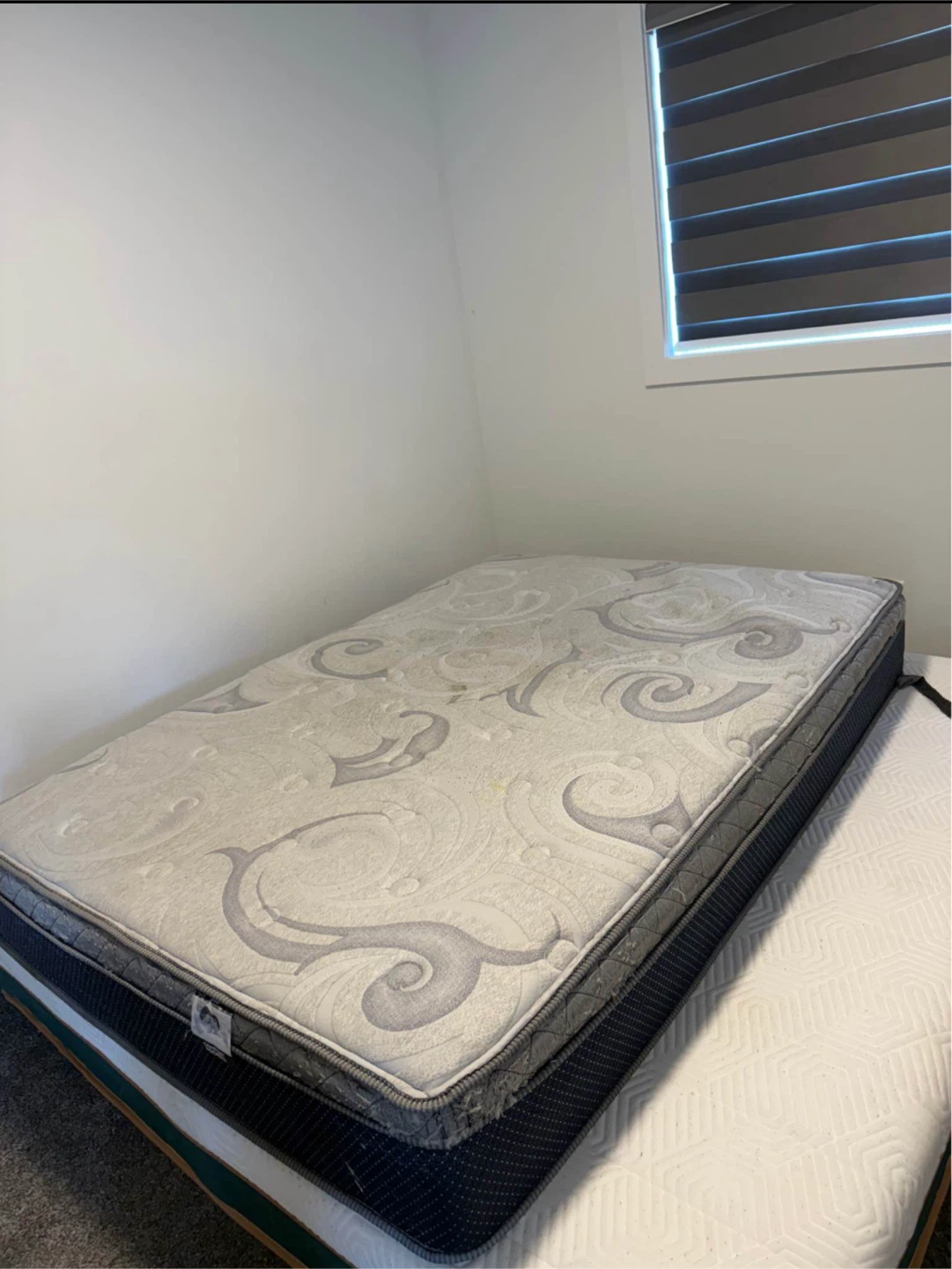 Sealy Mattress