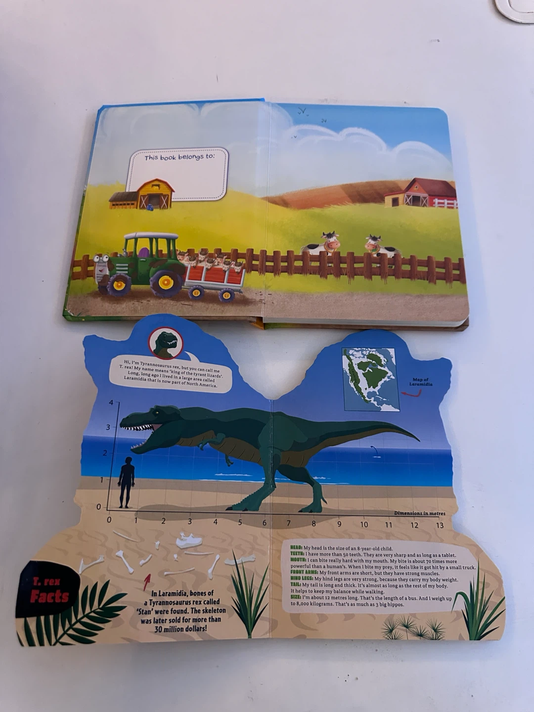 Kids' Books & Shoes Bundle