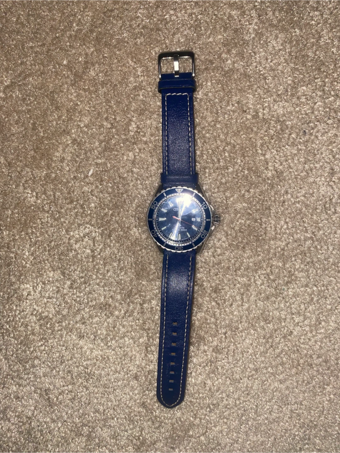 Citizen Eco-Drive Dive Watch - photo 4