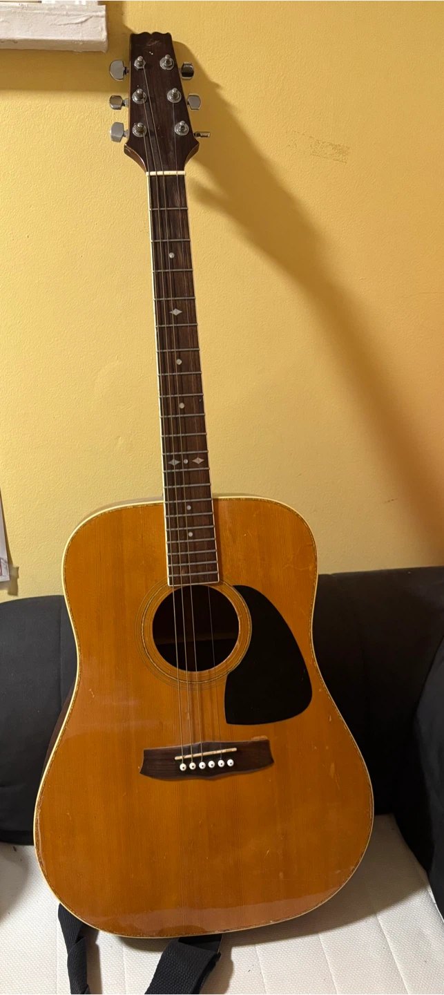 Aria sw 40 guitar (or best offer)