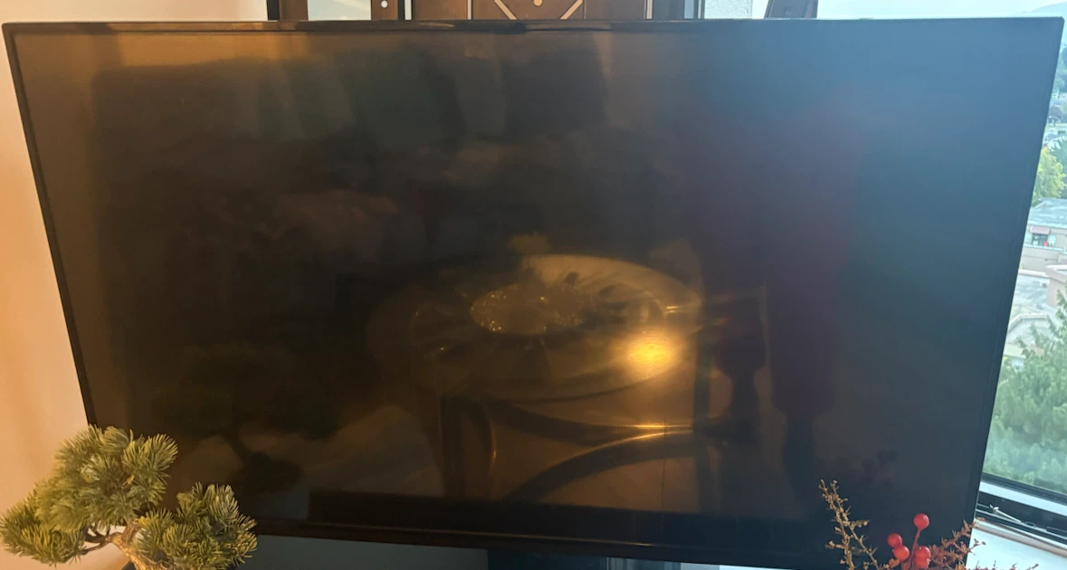 Vizio Flat Screen TV - photo 2