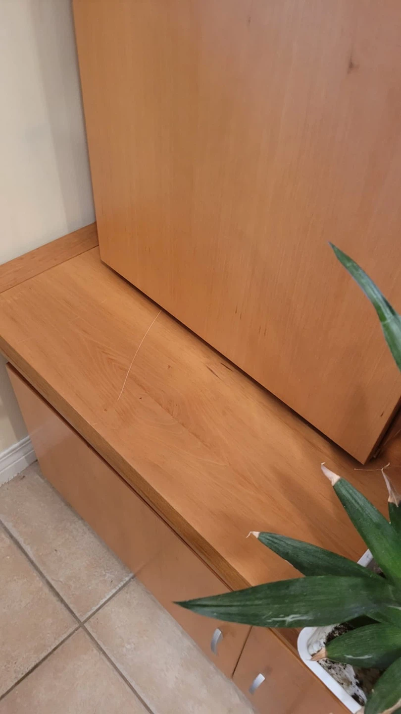 Entertainment Unit with Cabinet and Shelving - photo 4