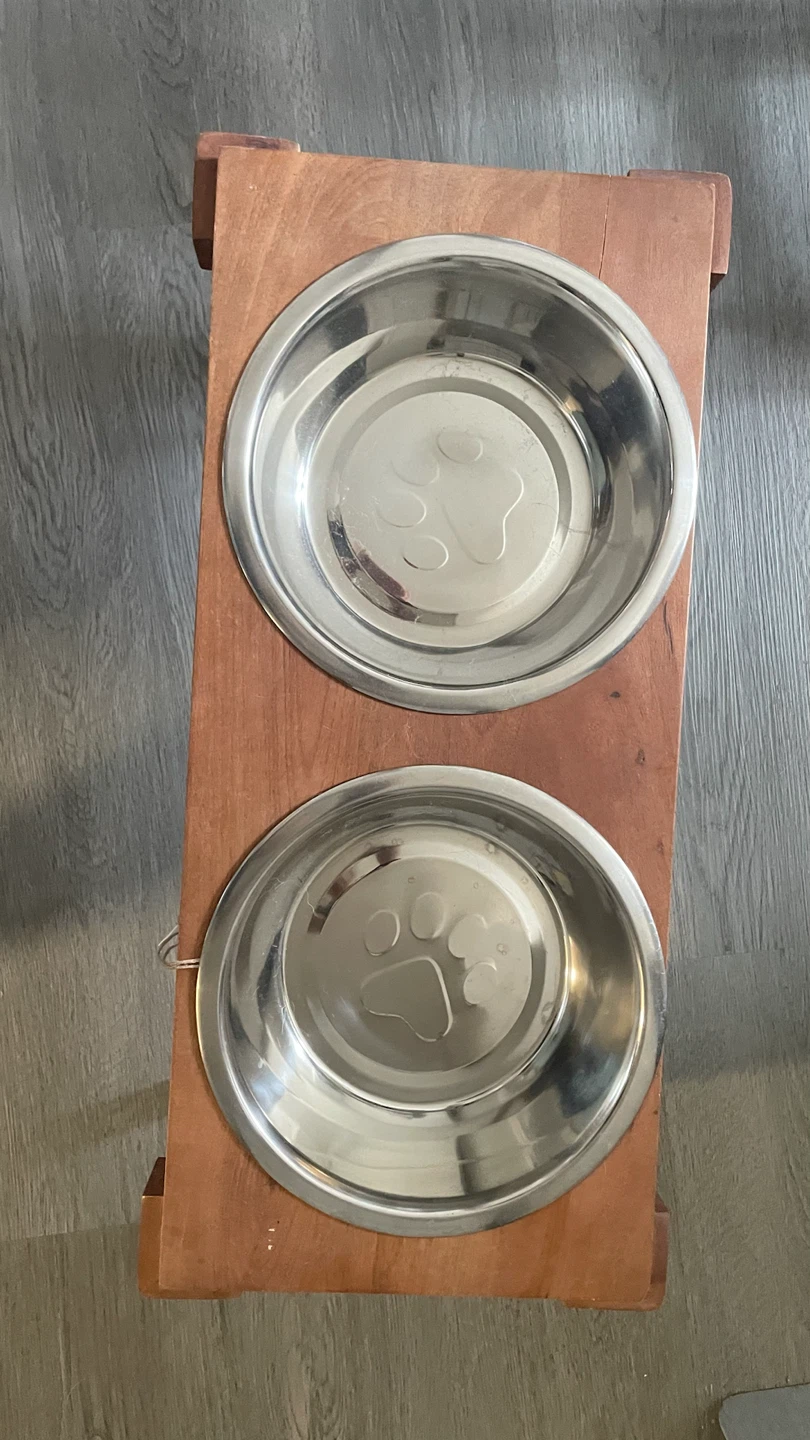 Elevated Double Dog Stainless Steel Bowl Feeder