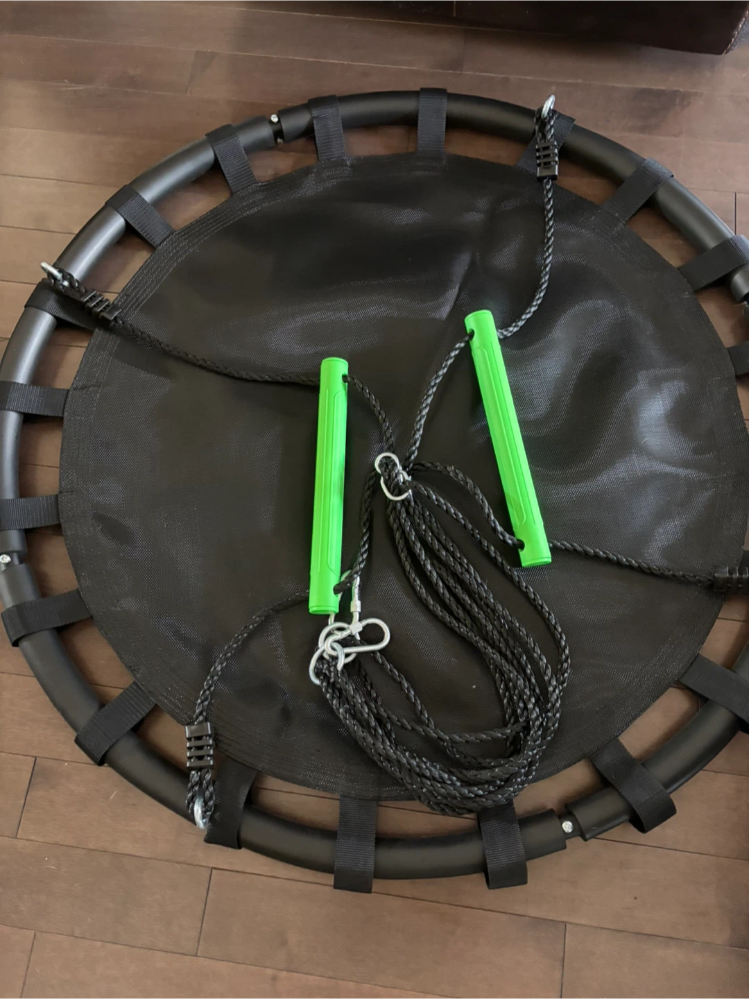 Black Round Saucer Swing with Green Handles