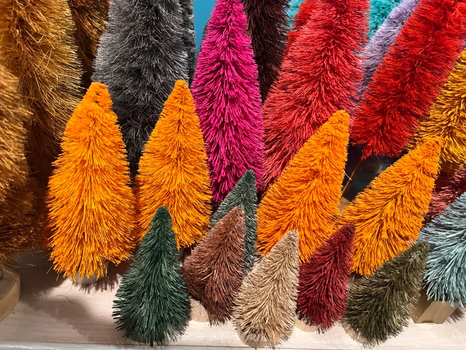 Assorted Bottle Brush Trees .Best Offer Please .