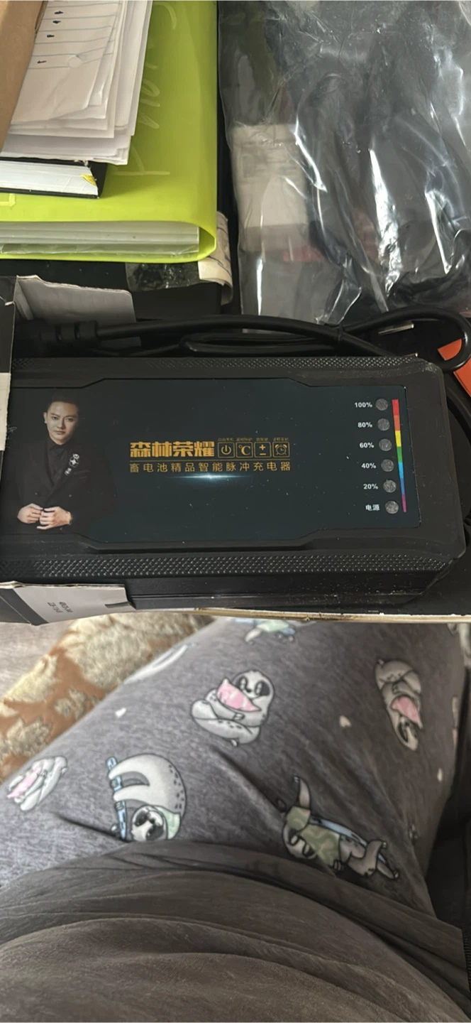 Smart E-Bike / Scooter Battery Charger – Lead-Acid - photo 2