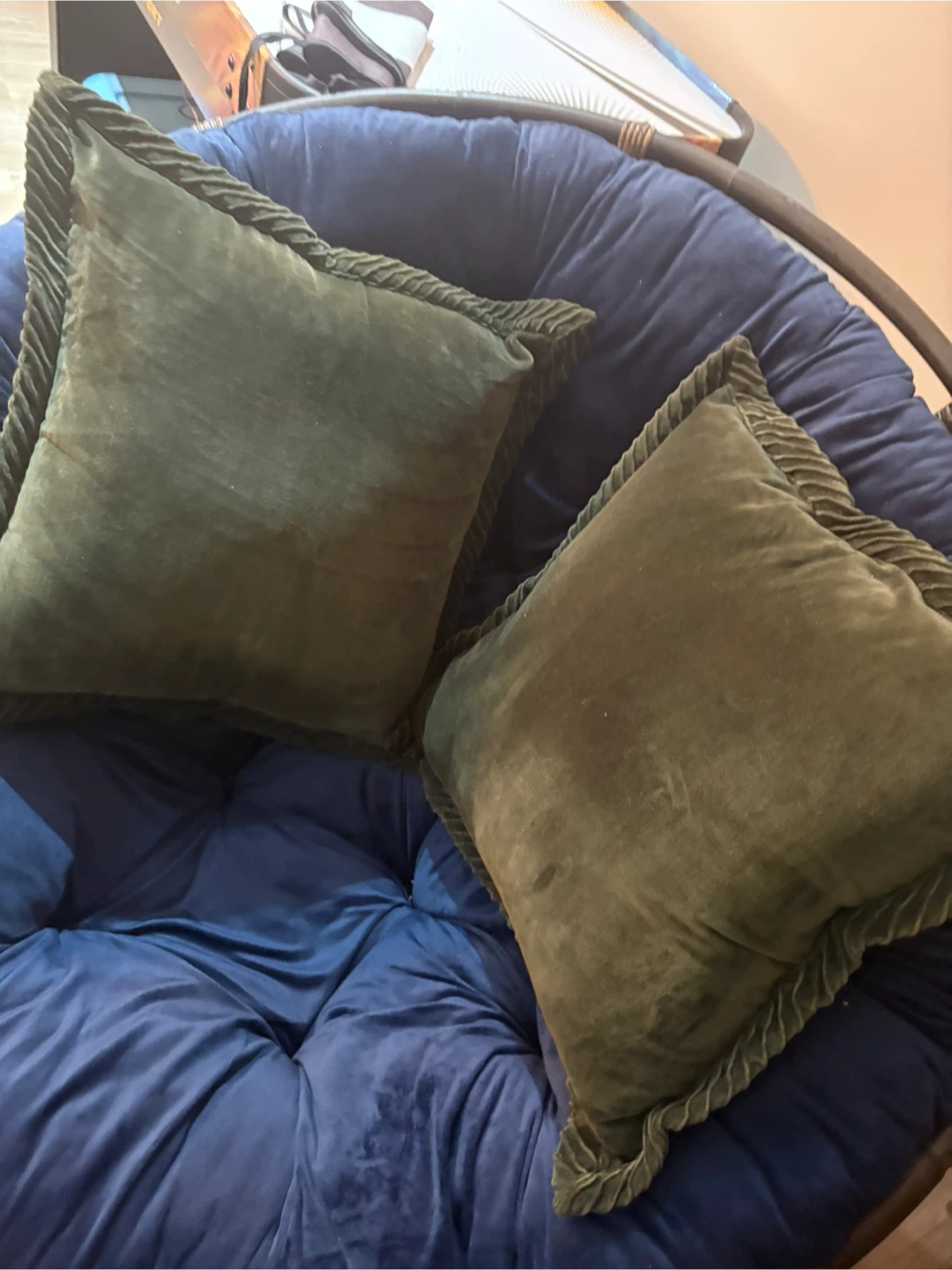 Pair Velvet Throw Pillows