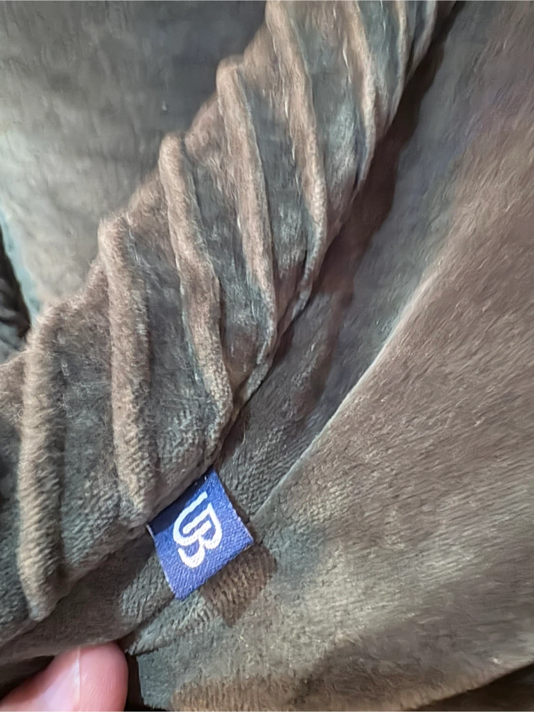 Pair Velvet Throw Pillows - photo 4