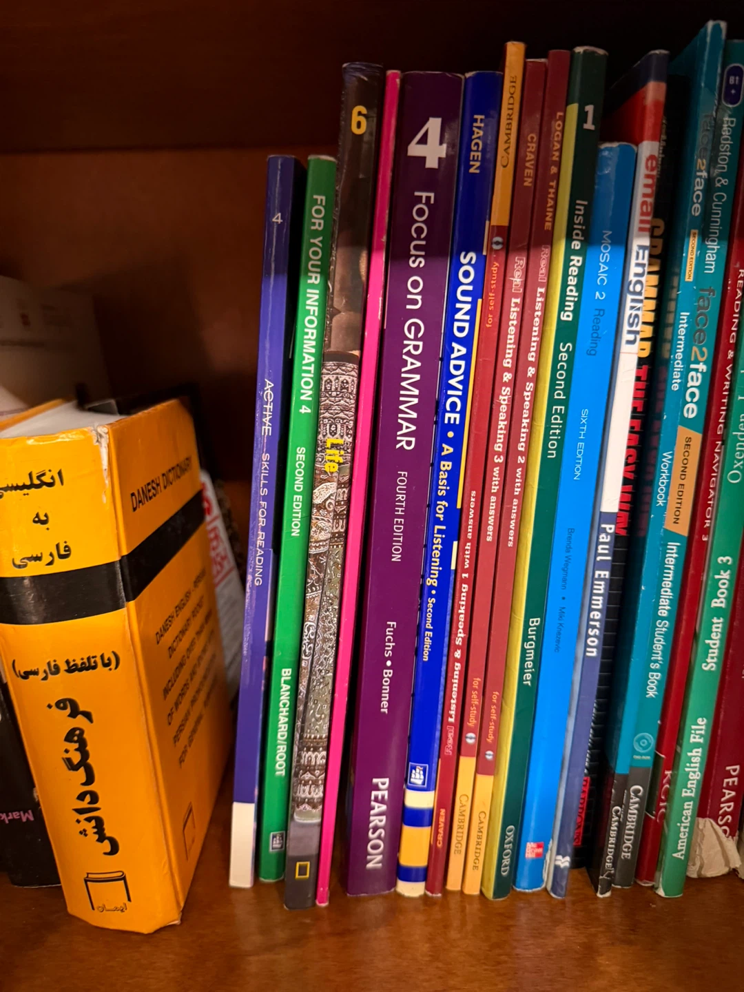 Assorted ESL & Language Learning Books - photo 4