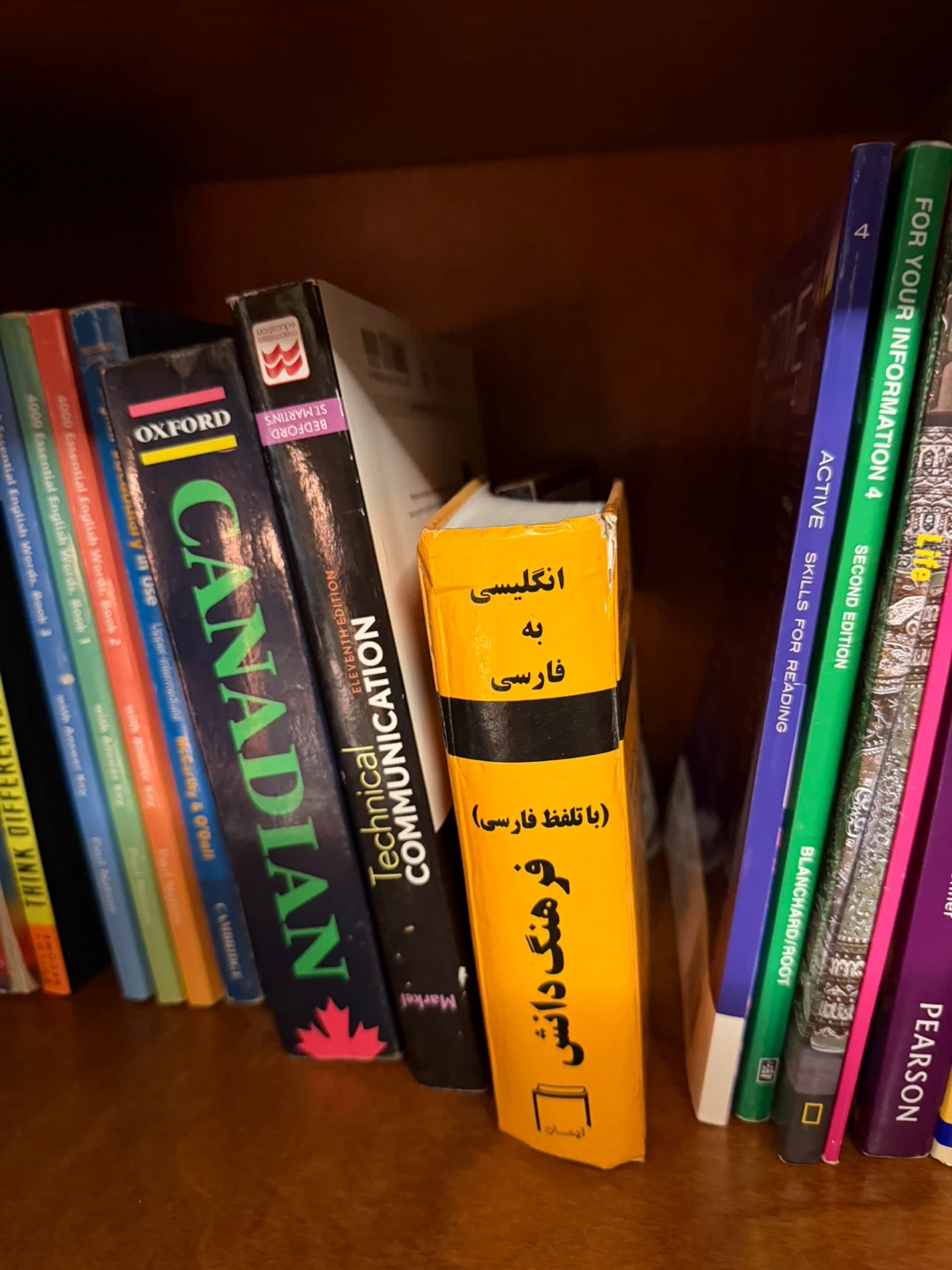 Assorted ESL & Language Learning Books - photo 5