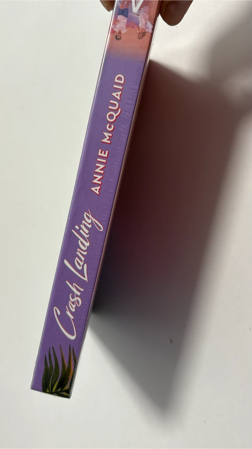 Crash Landing Novel by Annie McQuaid - photo 3