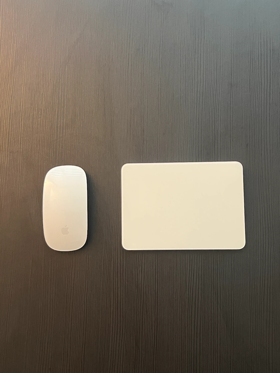 Apple Magic Mouse + Magic Trckpad
