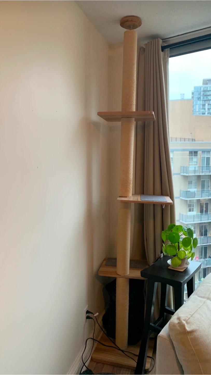 Tall Cat Tree Condo with Platforms