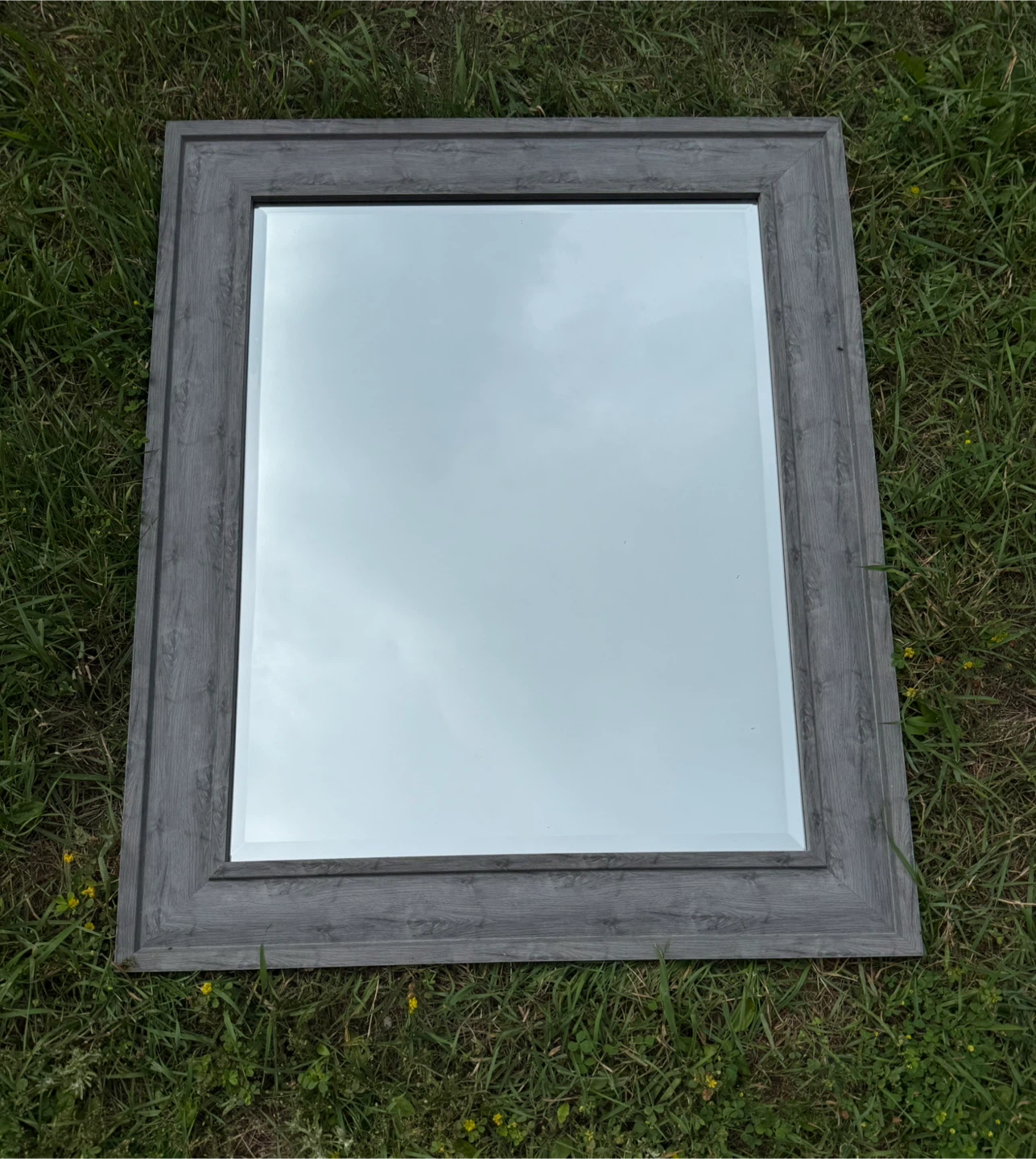 Professional Wood Framed Wall Mirror