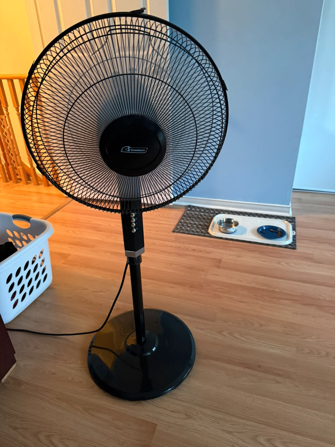 Garemont Pedestal Fan