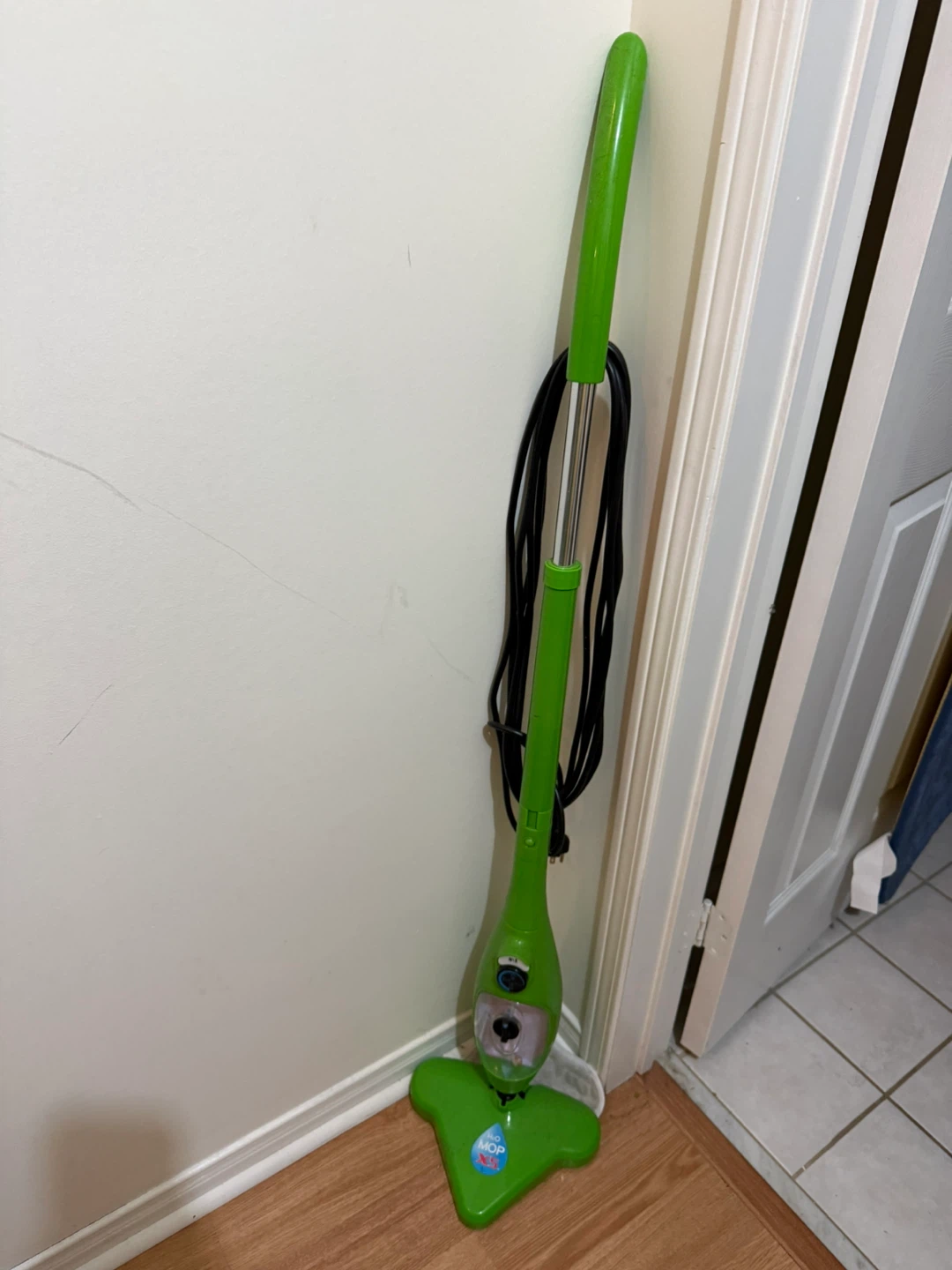 Green Steam Mop