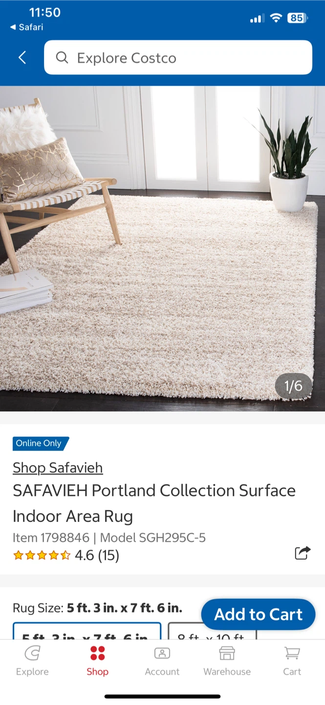 SAFAVIEH Portland Collection Surface Indoor Area Rug