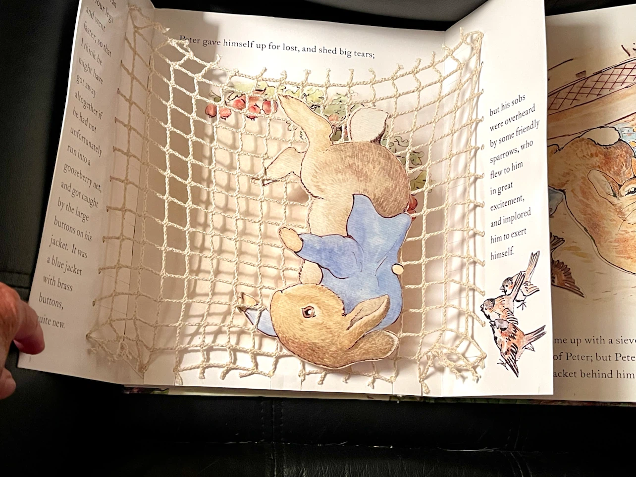 The Tale of Peter Rabbit Pop-Up Adventure Book by Beatrix Potter - photo 2