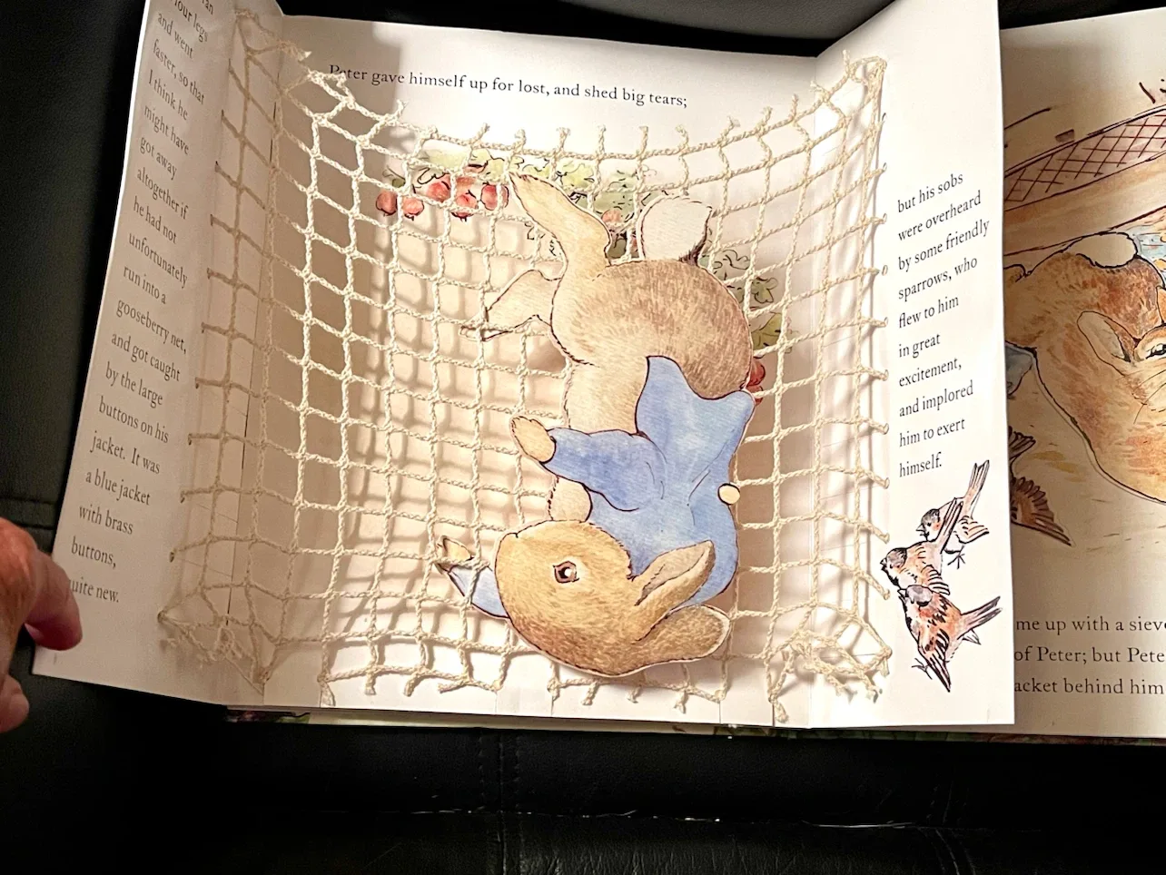 The Tale of Peter Rabbit Pop-Up Adventure Book by Beatrix Potter - photo 2